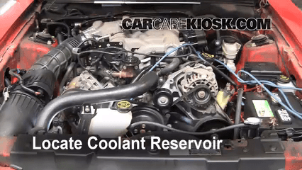 Coolant Flush How-to: Ford Mustang (1994-2004) - 2004 Ford Mustang 3.9L
